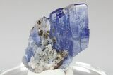 Blue-Violet Tanzanite Crystal Cluster - Merelani Hills, Tanzania #182350-3
